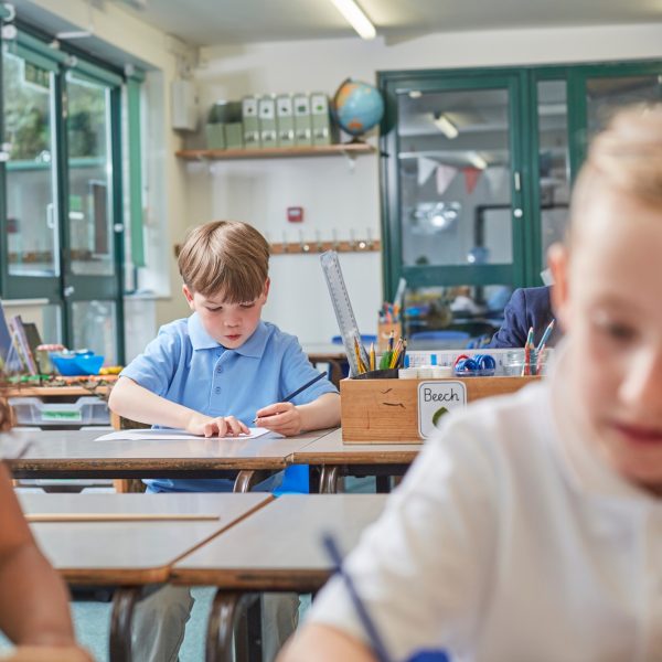 Primary schoolboy and girls doing schoolwork at classroom desks